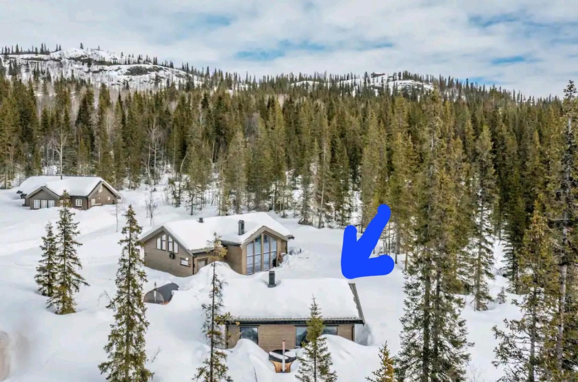 Cozy Mountain With Beautiful Views & Sauna Beitostolen
