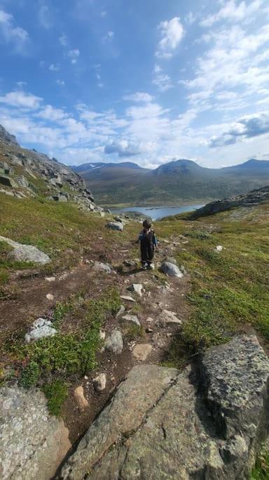 Cozy Mountain With Beautiful Views & Sauna * Beitostolen
