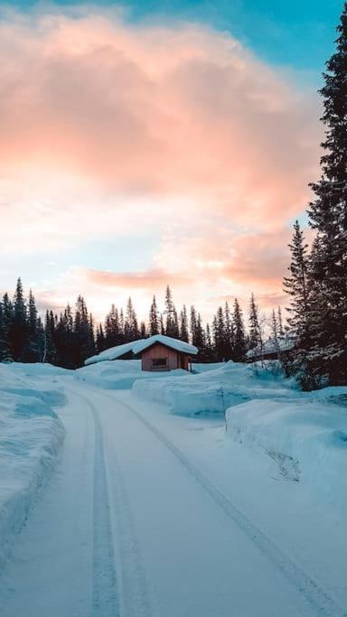 Cozy Mountain With Beautiful Views & Sauna Chalet Beitostolen